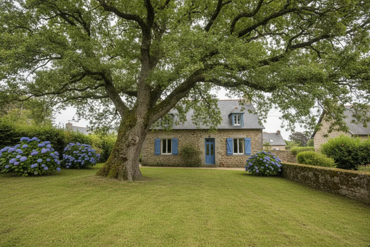 Avant : Jardin en retard à Gouesnou — élagage à Brest